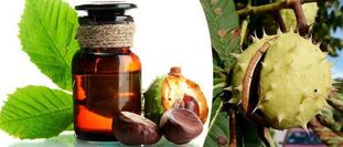 Chestnut alcohol - a folk remedy for the treatment of prostatitis