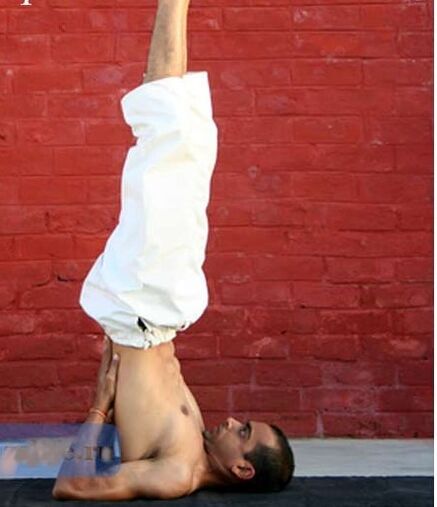 Sarvangasana pose